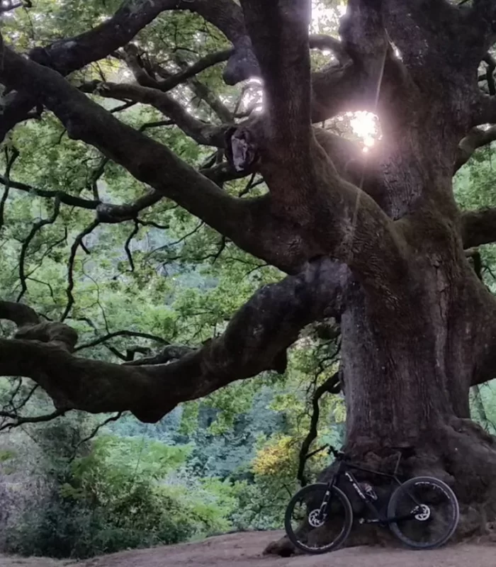 attivita bike e outdoor